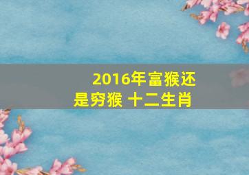 2016年富猴还是穷猴 十二生肖